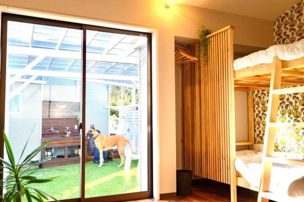 日向サーフキャンプ203 Villa